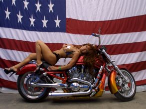   , ,  ,    , Girls&Cars (356)